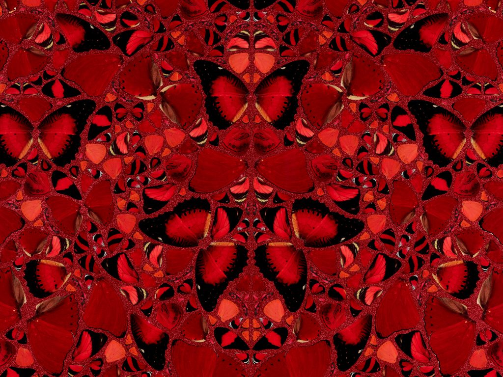 NFTが発売されたダミアン・ハーストの作品「The Currency」。複数の赤い蝶が並べられている。