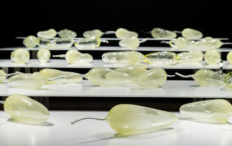 イワニ・スケース《えぐられた大地》