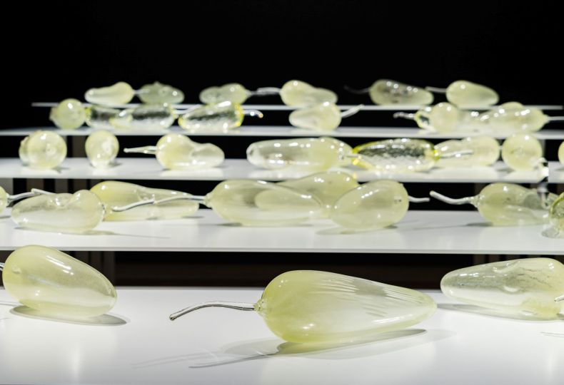 イワニ・スケース《えぐられた大地》