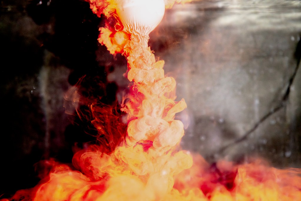 志賀理江子《Sadness》